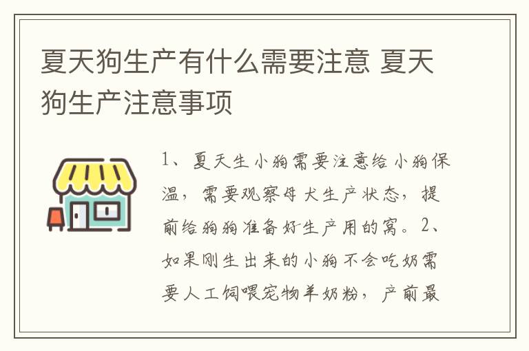 夏天狗生产有什么需要注意 夏天狗生产注意事项