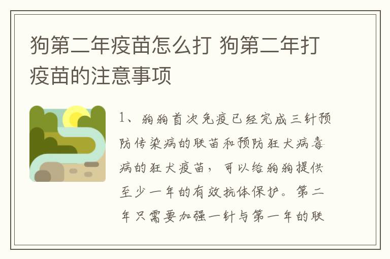 狗第二年疫苗怎么打 狗第二年打疫苗的注意事项