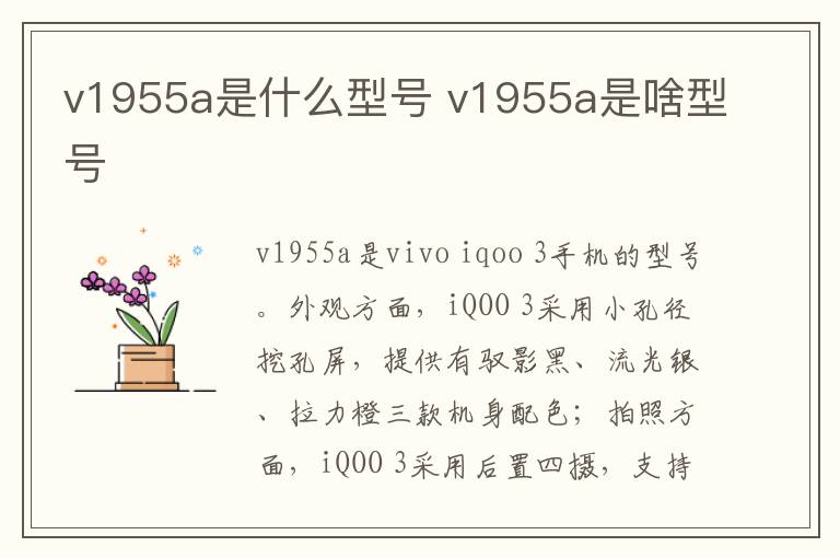 v1955a是什么型号 v1955a是啥型号