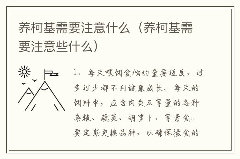 养柯基需要注意什么（养柯基需要注意些什么）