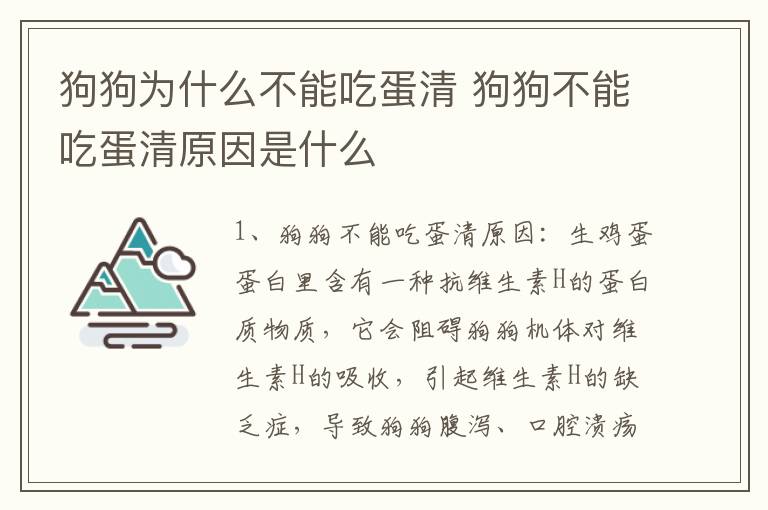 狗狗为什么不能吃蛋清 狗狗不能吃蛋清原因是什么