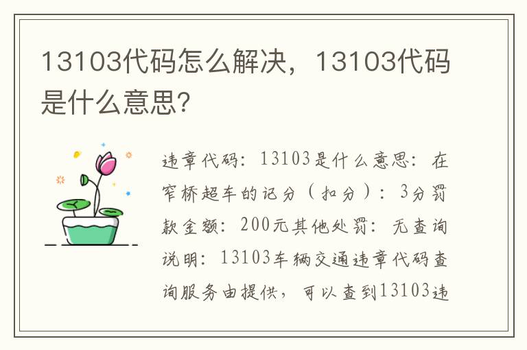 13103代码怎么解决，13103代码是什么意思？