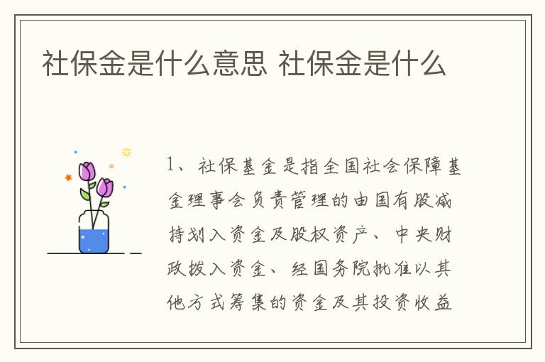 社保金是什么意思 社保金是什么