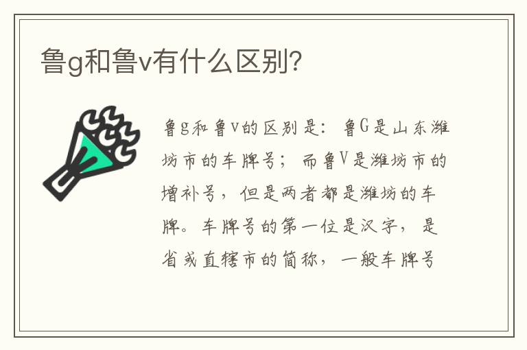 鲁g和鲁v有什么区别？