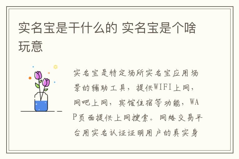 实名宝是干什么的 实名宝是个啥玩意