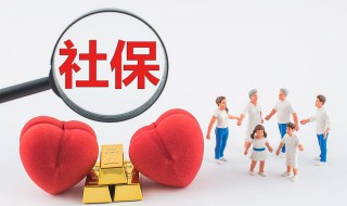 社保公积金是什么意思 社保公积金具体是什么意思