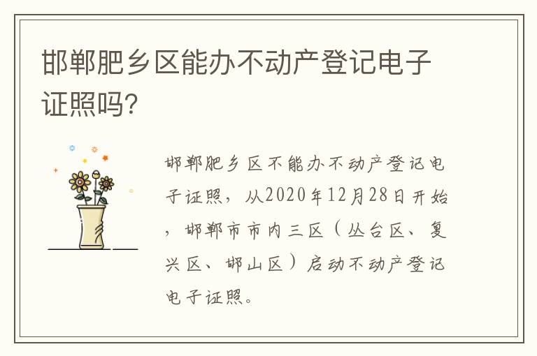 邯郸肥乡区能办不动产登记电子证照吗？