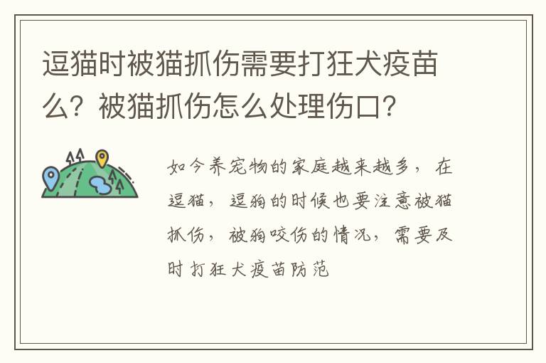 逗猫时被猫抓伤需要打狂犬疫苗么？被猫抓伤怎么处理伤口？