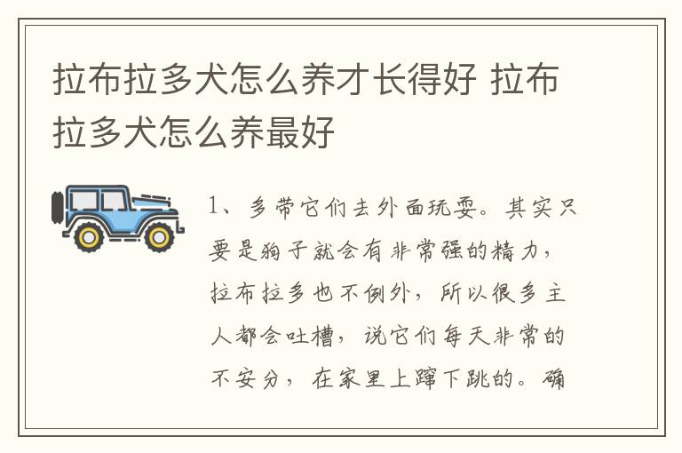 拉布拉多犬怎么养才长得好 拉布拉多犬怎么养最好