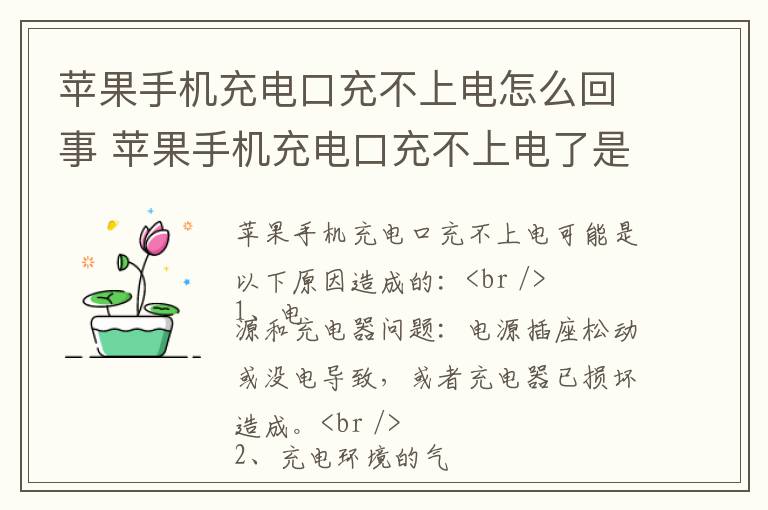 苹果手机充电口充不上电怎么回事 苹果手机充电口充不上电了是怎么回事